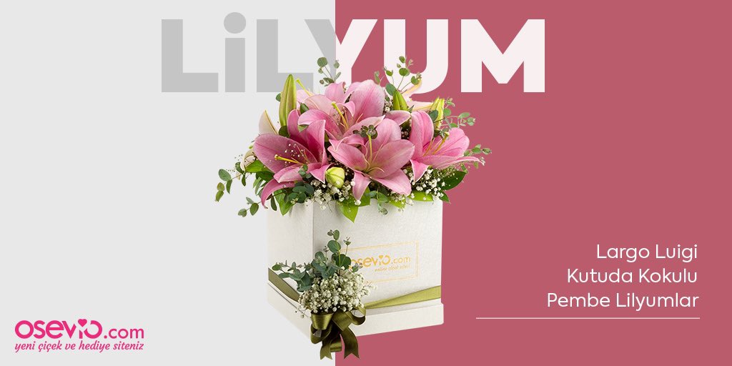 oseviocomm's tweet photo. Sonbaharın en güzel çiçeklerinden biri olan lilyumlarla sevdiklerine sürpriz yapmanın tam zamanı! 🌸🎁 #oseviocom #osevioçiçek #kutudaçiçek #onlinecicek #onumutluet https://t.co/Cm1AVxQ5be