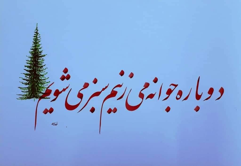 DidarNadeem's tweet photo. #StopHazaraGenocide https://t.co/41Iq7dp6wT