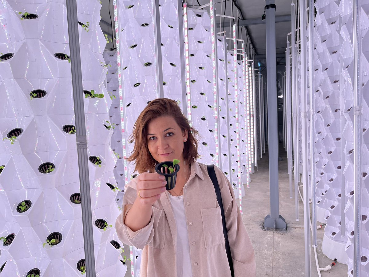 KaterynaPobere1's tweet photo. Greetings from the first #aeroponics vertical farm in 🇬🇪 
#highgardengeo #Georgia #agtec #eastfruit #fao #ebrd https://t.co/ipc4RJqPnj