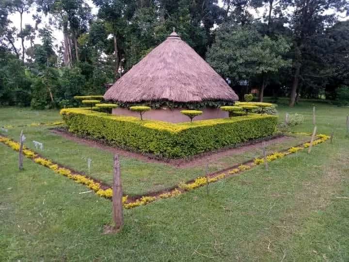 gildims's tweet image. If one can do this on small house,si apewe tu kazi sasa,this is passion at its best