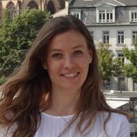 Miguel Teixeira tweet media