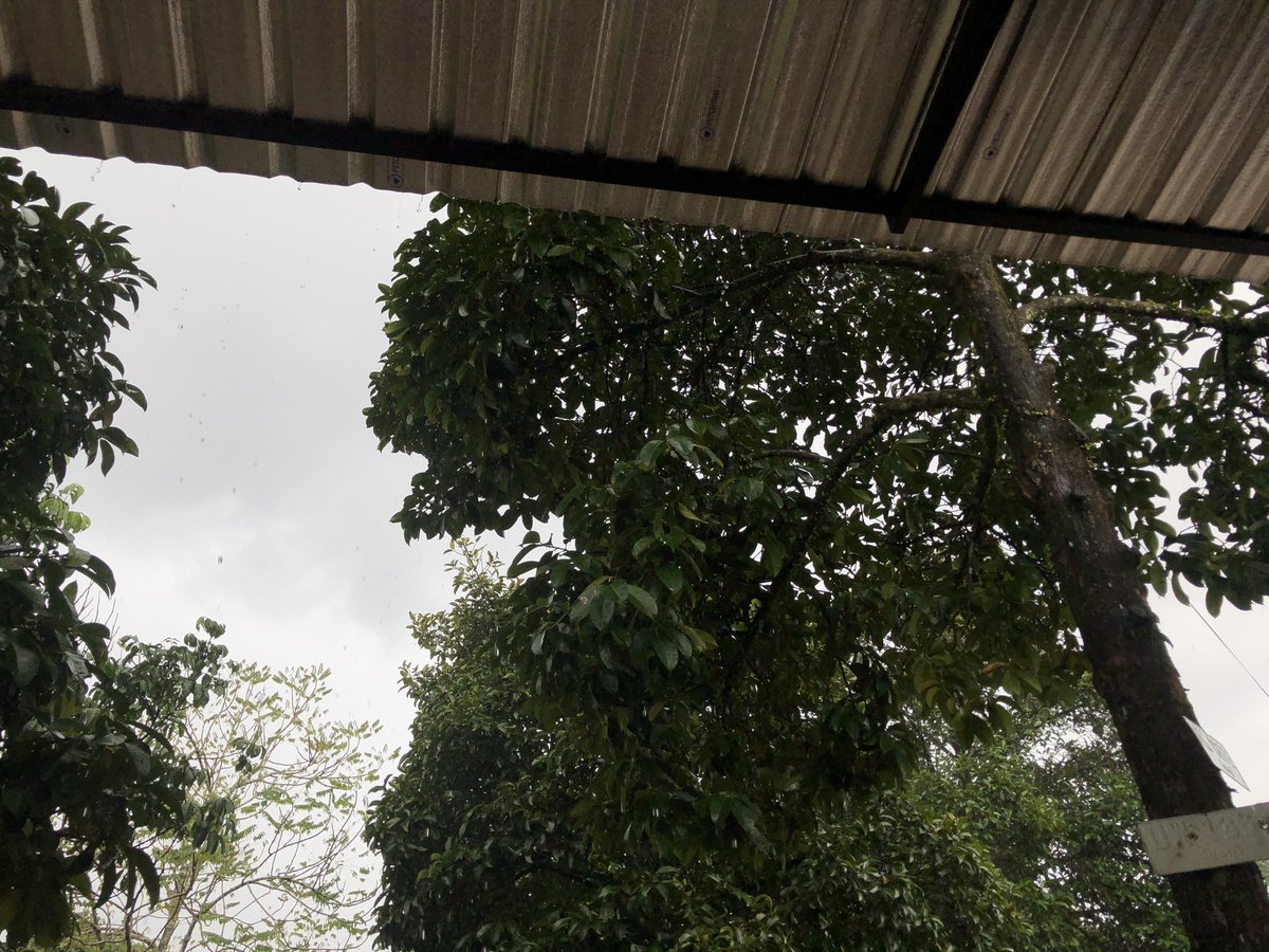 ฝนตกแบบนี้ทำไรดี