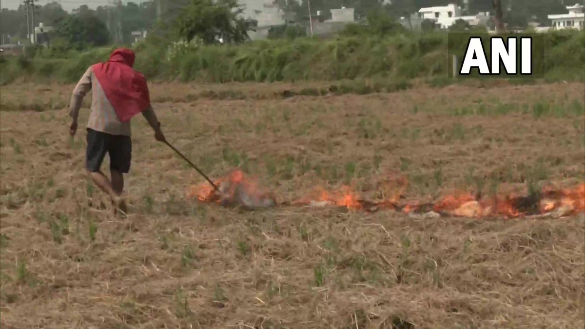 ANI's tweet photo. Stubble burning continues in Punjab; visuals from Amritsar https://t.co/B2QIjmWrgQ