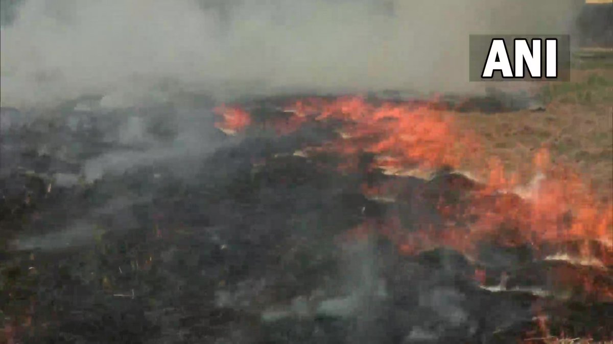 ANI's tweet photo. Stubble burning continues in Punjab; visuals from Amritsar https://t.co/B2QIjmWrgQ