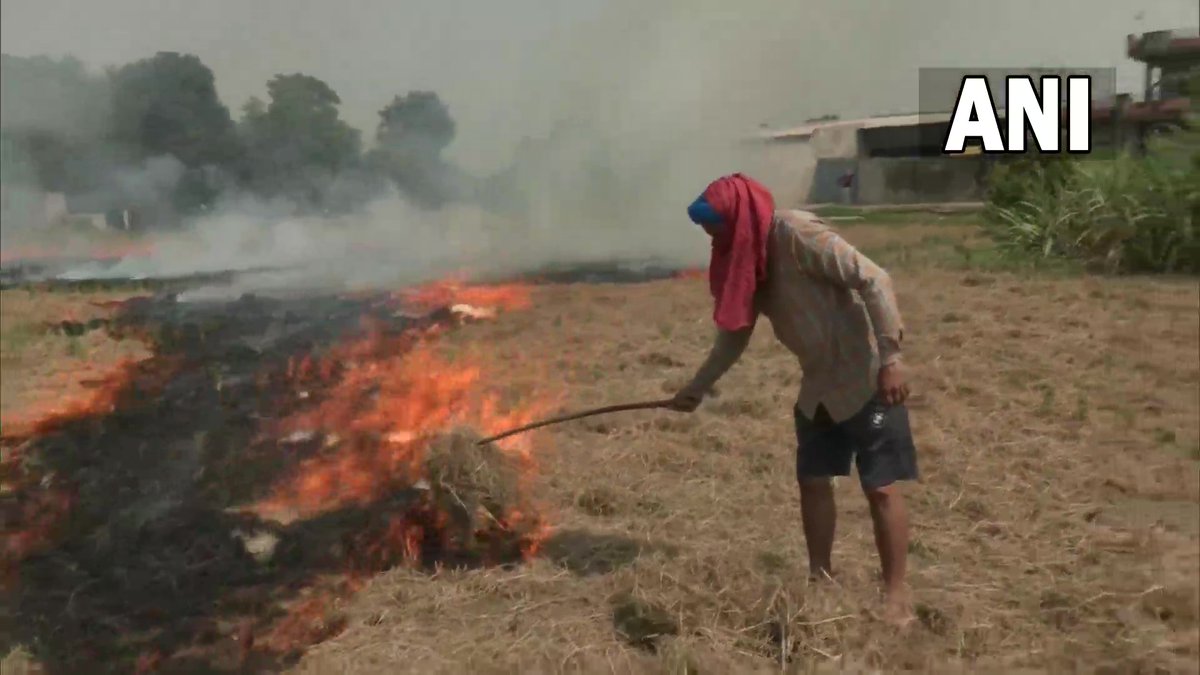 ANI's tweet photo. Stubble burning continues in Punjab; visuals from Amritsar https://t.co/B2QIjmWrgQ