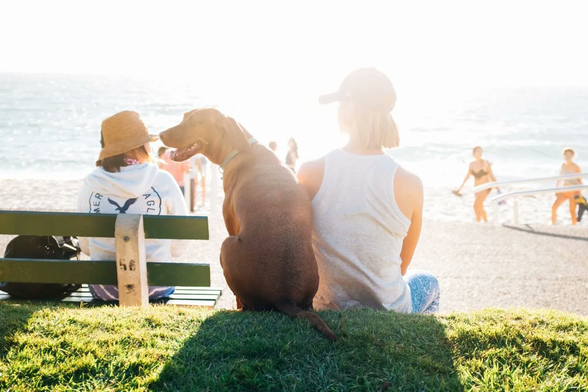 VisaGoAustralia's tweet photo. The Australian lifestyle according to expats. Do you agree with the findings? https://t.co/5CJl8aPyYx
#Australia #emigrate #expats #lifestyle #relocate #workabroad #workinaus #australianlife #migrationagent https://t.co/xvziamxIXO