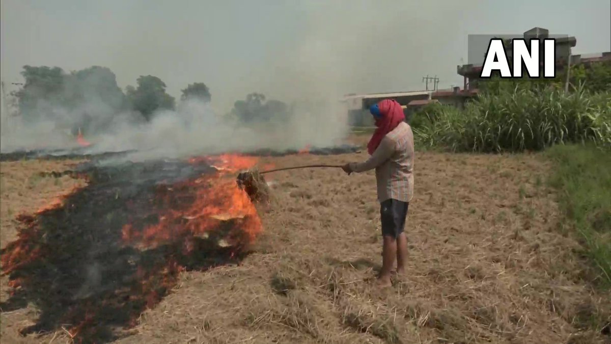 ANI's tweet photo. Stubble burning continues in Punjab; visuals from Amritsar https://t.co/B2QIjmWrgQ