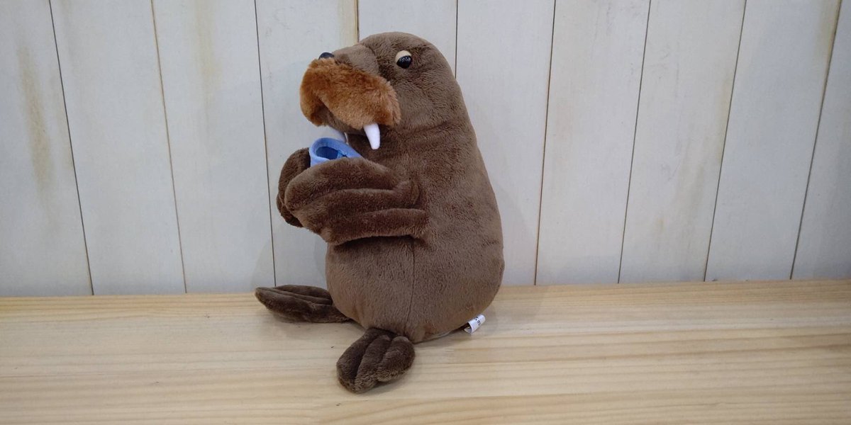 セイウチの「スノー」の得意技『バケツ持ち』‼︎ その姿にそっくりな