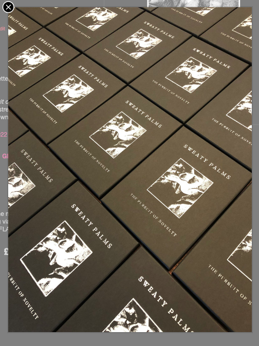 BANDCAMP FRIDAY ‘The Pursuit of Novelty’ is a screen printed cassette box set and lyric/artwork book collecting all music from our single every month for 12 months project. Available to pre-order via the link in bio. 
Image and screen prints by lizzieurquhartstudio