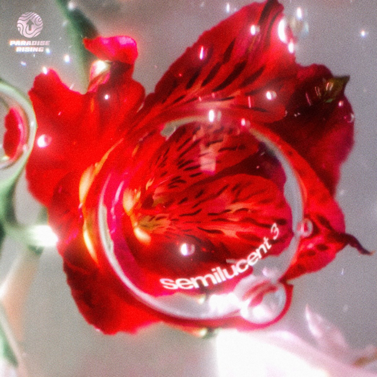 OUT NOW and all over the globe 

PARADISE RISING - semilucent 3.
celebrating filipino voices with DACEY, kristina alcordo, 8rae and CABU feat Gabby Nacua

take a listen at: PARADISERISING.lnk.to/semilucent3

<a href="/paradiserising/">PARADISE RISING</a> @kromaent