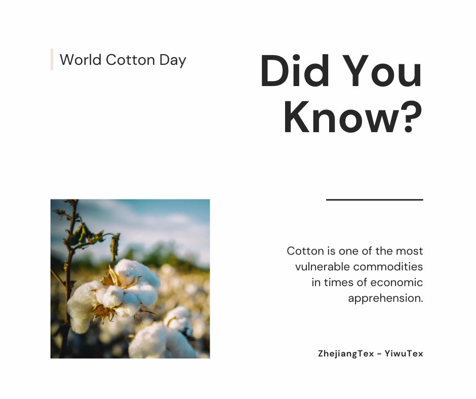 ZhejiangTex's tweet photo. It’s #WorldCottonDay &amp; let’s talk more. #cotton consumption can reflect the global economy as a widespread raw material. What are the findings &amp; the foreseeable situations? 

Check it out: https://t.co/wSzrXKGOCx
Source: https://t.co/CqTI0dXp0m
#YIWUTEX #ZHEJIANGTEX #MarketNews https://t.co/Qb5QnJRRjl