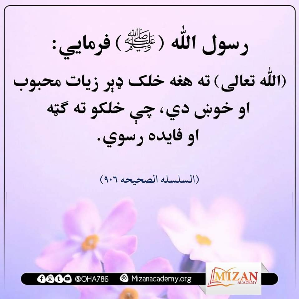 Sefatullah Amarkhil⁦⁩صفت الله امرخيل (@sefatullahamar3) on Twitter photo 