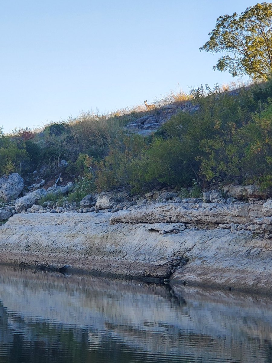 Fishing the Lonestar Throwdown this weekend on Lake Belton. Wish me luck.  I don't typically fish lakes with clear water, rock cliffs, and very little vegetation here in East Texas, so hoping something transfers.