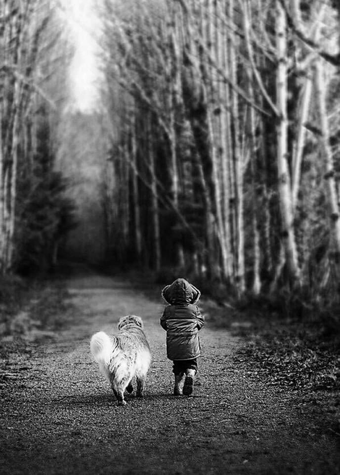 NATURALEZAV3's tweet image. Si tienes un verdadero amigo, tienes más de lo que te corresponde.
Feliz fin de semana!!