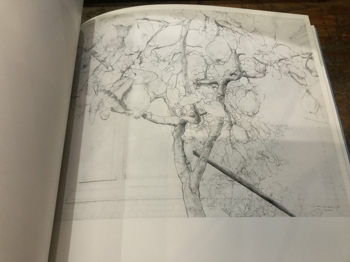 徳川龍之介 on Twitter