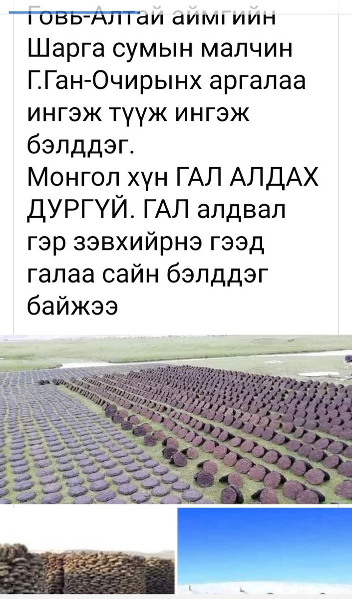 Мундаг ажилсаг хүн байна даа