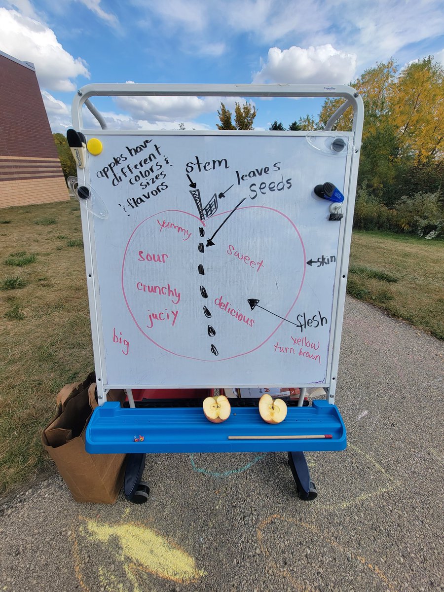 DegroodMegan's tweet photo. Learning about (and eating) apples, making patterns in math and trying Partner Read have been some of our extra fun over the last few days!
#indoorandoutdoorlearning #playislearning #kickingitinkinder #doingislearning #creativekids #teamworkmakesthedreamwork https://t.co/if7qQT6GDK