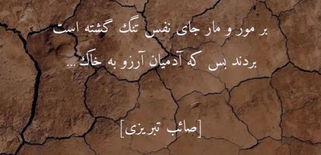 000loxeahar's tweet photo. هیشکی قد ما واسه ی ذره زندگی این همه نمرده https://t.co/zRzhMibZRD