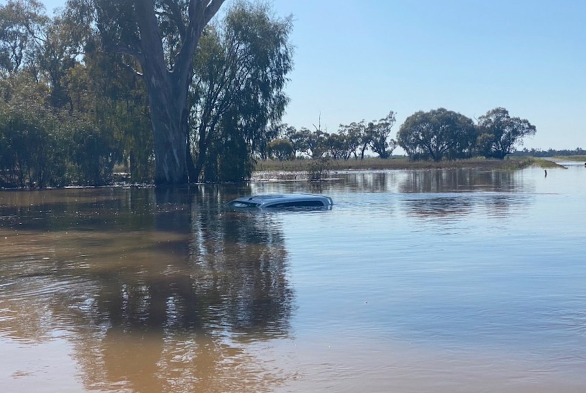 igrain_com_au's tweet photo. Gunnedah, Wee Waa and Warren are being warned to prepare for more flooding, with some farms still cut off by floodwaters from a previous rain event. (Supplied: NSW SES) via @abcnews https://t.co/erD3fn4BfS
