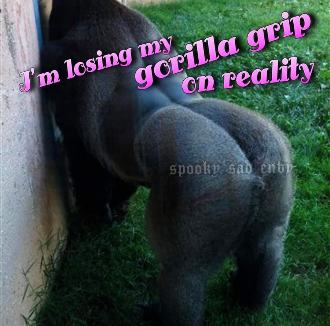 moved @byerscreep (@byerscreepmoved) on Twitter photo 