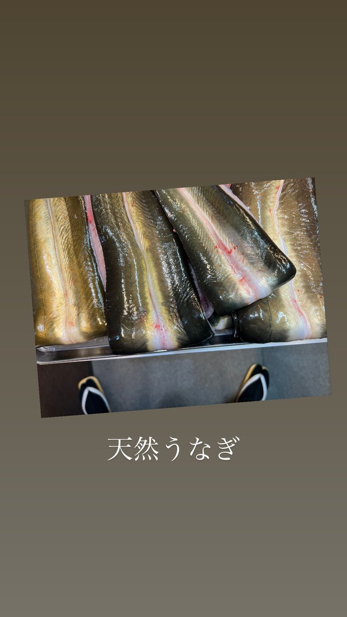 takahashiya21's tweet photo. 天然大うなぎ.

大好評！
ありがとうございます！

天然うな重御膳   12,800円

#銀座　#高橋屋　#髙橋屋
#天然　#天然うなぎ https://t.co/xO5TZdFQ5P