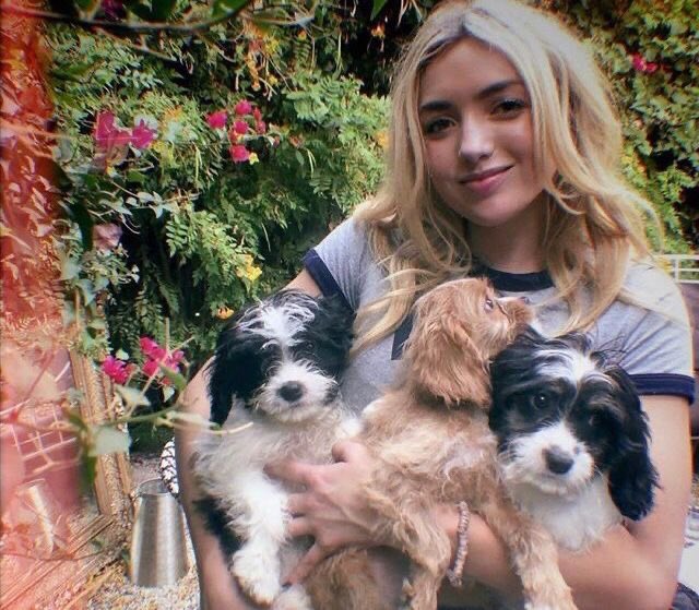 📸robby and tory playing with puppies, taken by each other