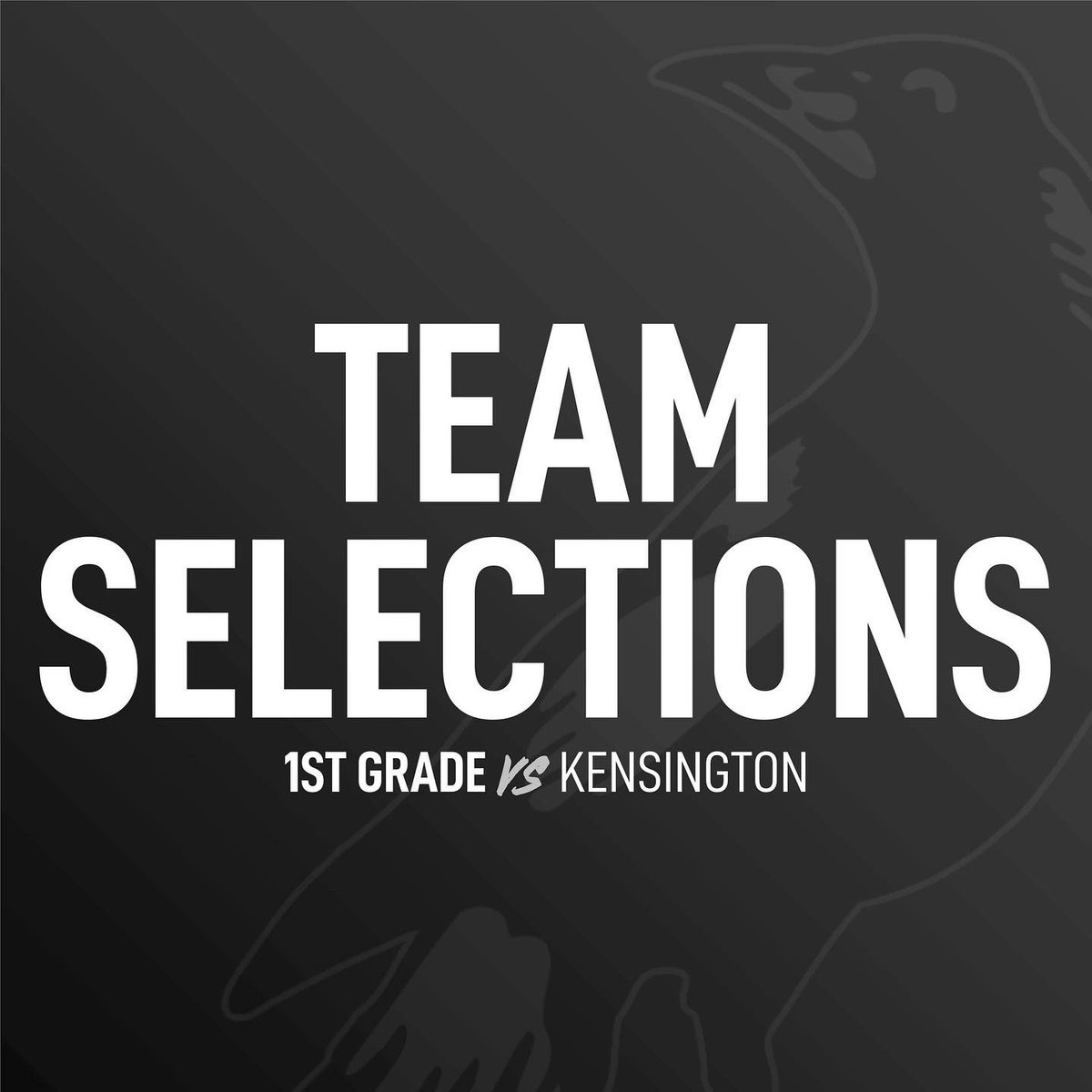 Port Adelaide Cricket Club tweet media