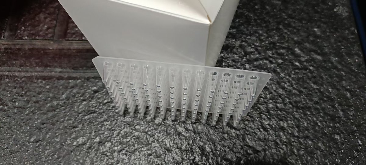 LabConsumables's tweet image. PCR plate