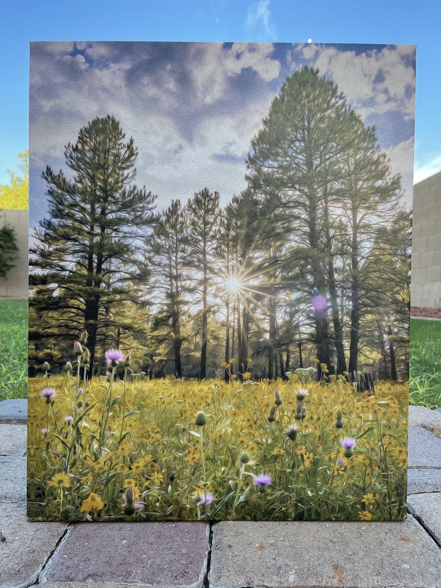 truthisumatter's tweet photo. I have finally launched my new website.  I'm super excited and decided to have one lucky person win this 16X20 Canvas print.  Click the link in my Bio. 
#WallArt  #canvasprint  #wildflowers https://t.co/NEYd4NswxP