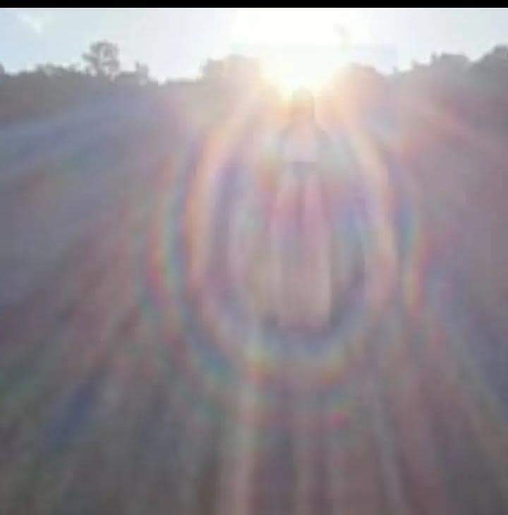 VikHugo2's tweet image. Rogad por nosotros Santa María de Guadalupe.