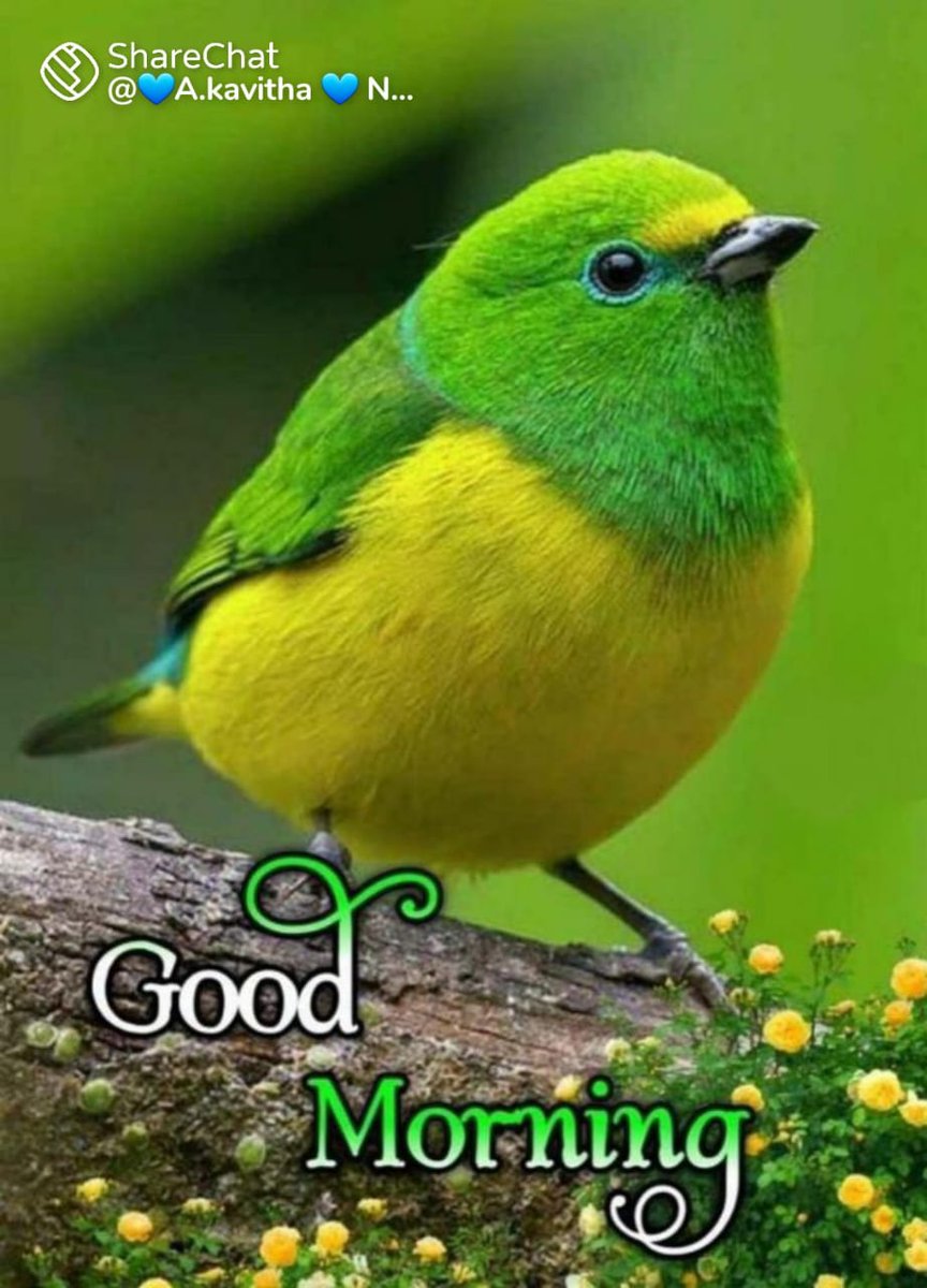 ArvindkumarK's tweet photo. @ShabanguGaia https://t.co/1i72Sd8fMJ