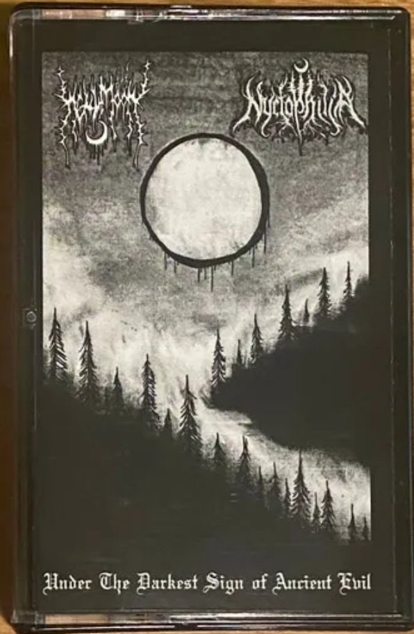 LordOfTheShado8's tweet photo. Scrolling through ebay last night and stumbled across both of these. One was a steal the other I paid a little more than I wished too, but as Hellmoon stuff is near as dammit so hard to get hold of I just had too. #Hellmoon #Glemt split and #Hellmoon and #Nyctophilia split. https://t.co/lt213aINVr