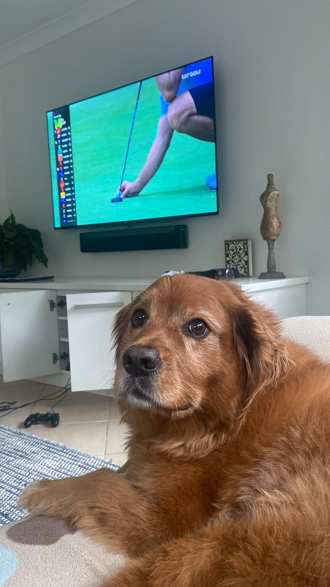 SpaghettiSalt69's tweet photo. Ginger’s rooting for Team Punch GC, cheering from Sydney, Aus #LIVGolf #LIVGolfBangkok #livbroadcasting https://t.co/RR8uEhXZoE