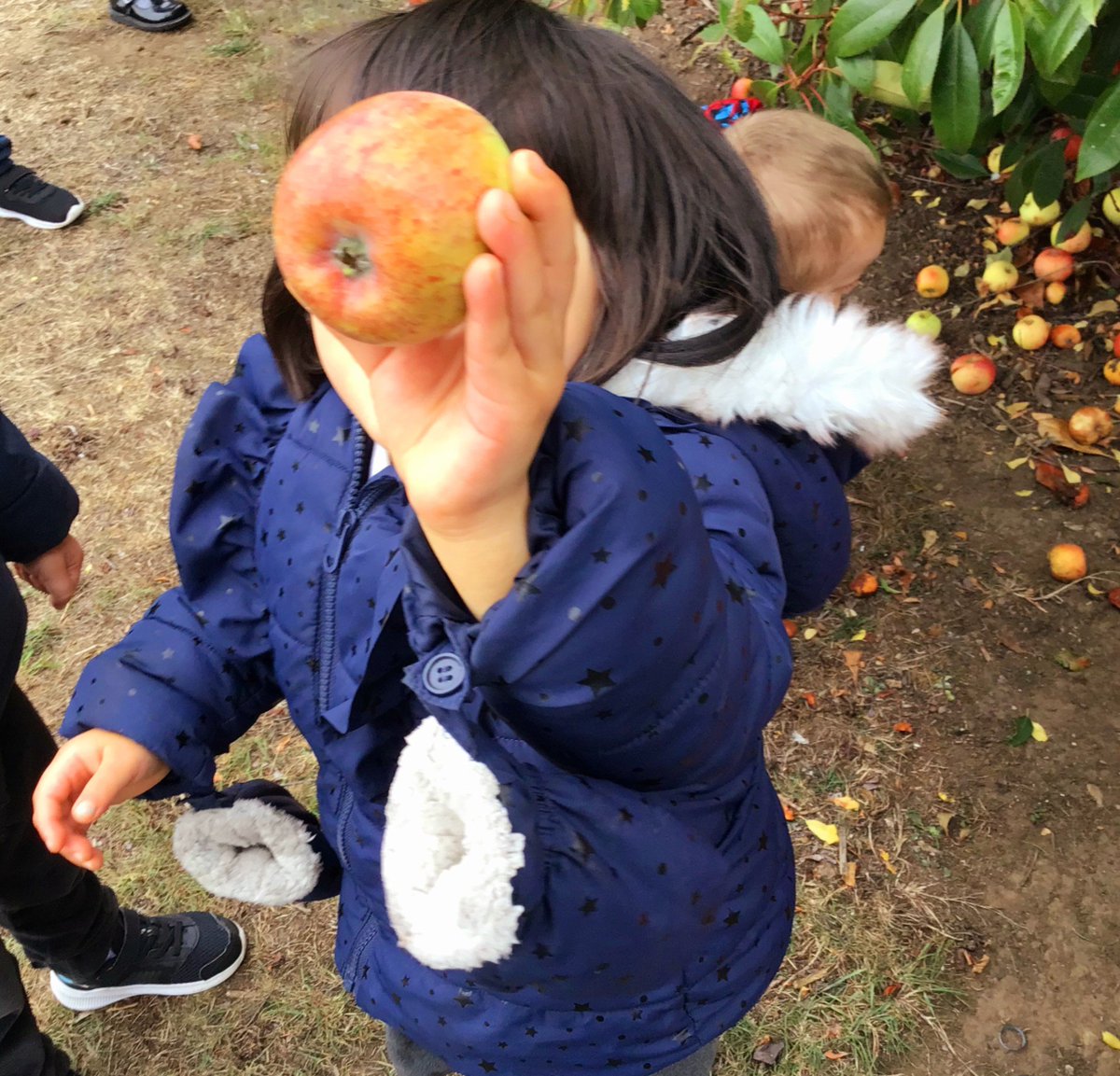 DeltaStrand's tweet photo. On their Autumn walk HMS Wizard collected apples so they could create some beautiful Art work in Nursery.
@DeltaStrand #ApplePrinting🍎🎨 https://t.co/xIFK0w9YAg