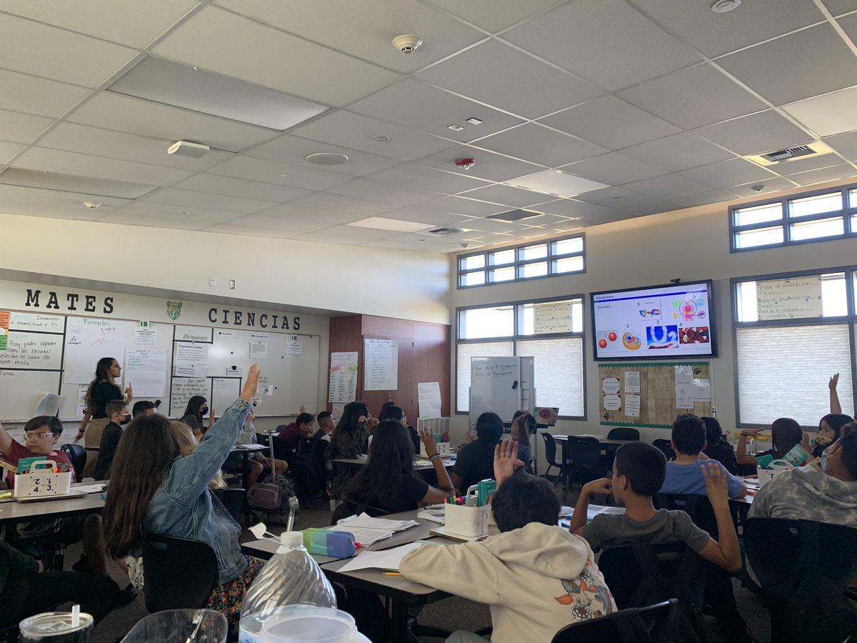 jenlsanders's tweet image. Interdisciplinary teaching at its finest today in @Ms_Lemus classroom. Using engaging reading and vocabulary strategies in Science to support students with comprehension. Amazing things happening at SCIA! #ibmyp #mypscience #iblanguageandlit #greatertogether @SCIABEARS @IBinBSD