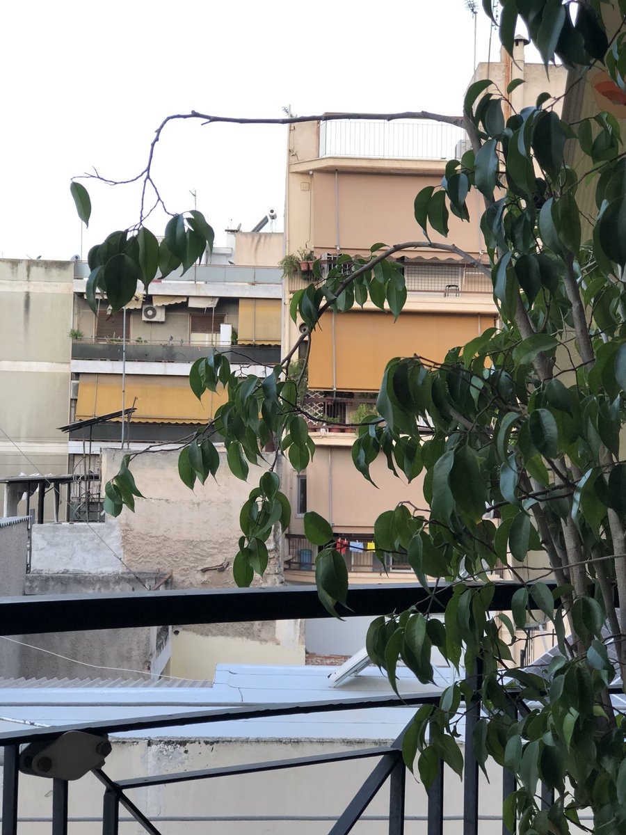 Labropoulos_ tweet picture