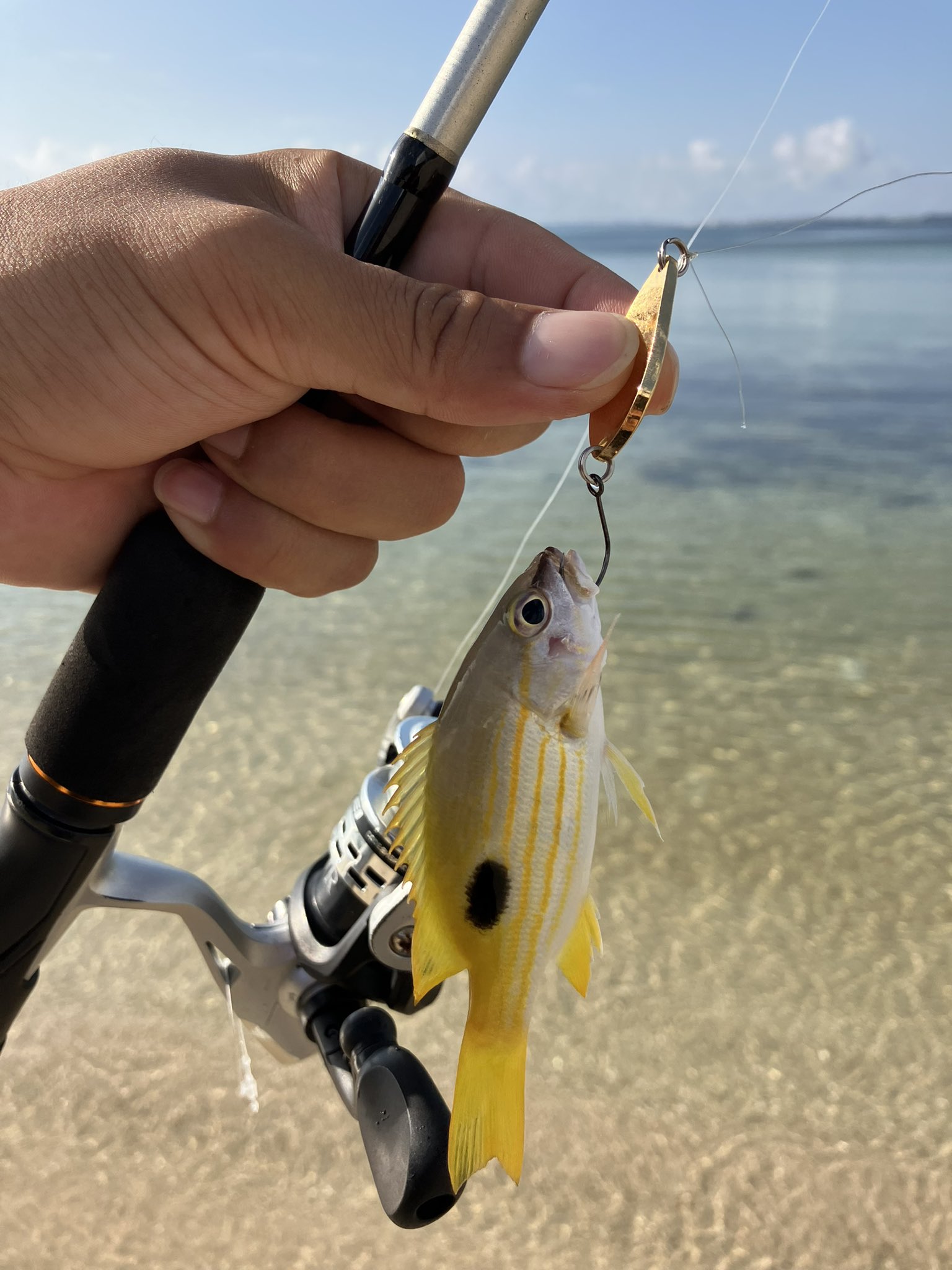 沖縄の風 Okinawa No Kaze Twitter
