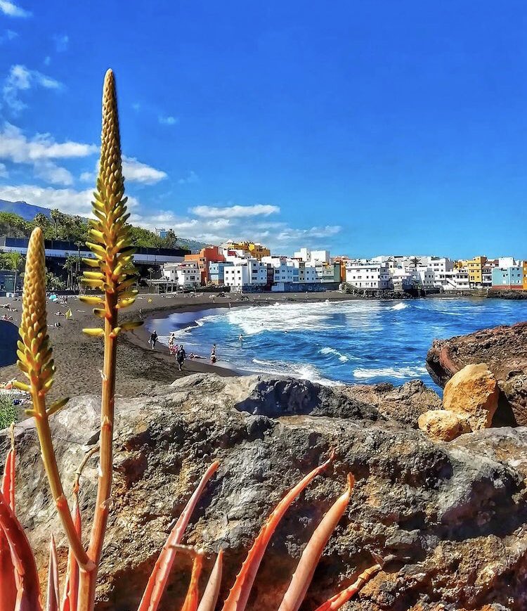 matthieuherault's tweet photo. À partir de 385€ la semaine pour des #vacances à #tenerife aux #canaries appartement avec vue sur l océan. Vols à partir de 30€ au départ de #beauvais avec #ryanair 45€ depuis #paris rdv sur notre page facebook https://t.co/TD5Qy0qH9h https://t.co/k9QijU3WVN