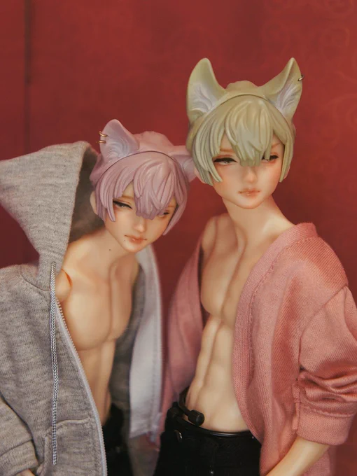 ドルミス進捗 