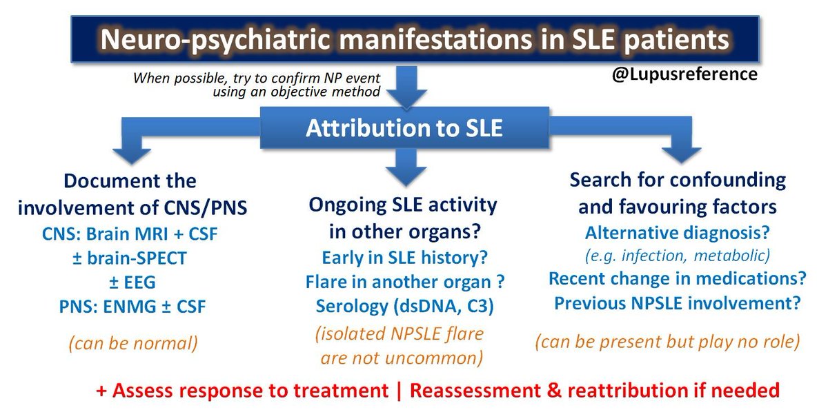 ✅ Today at 09:50, I will chair 🧑‍🎓 the #LUPUS2022 session about neuropsychiatric #Lupus (#NPSLE). Please join us 🙏 and check the attribution strategy typically used in #SLE when confronted to NPSLE symptoms ⬇️