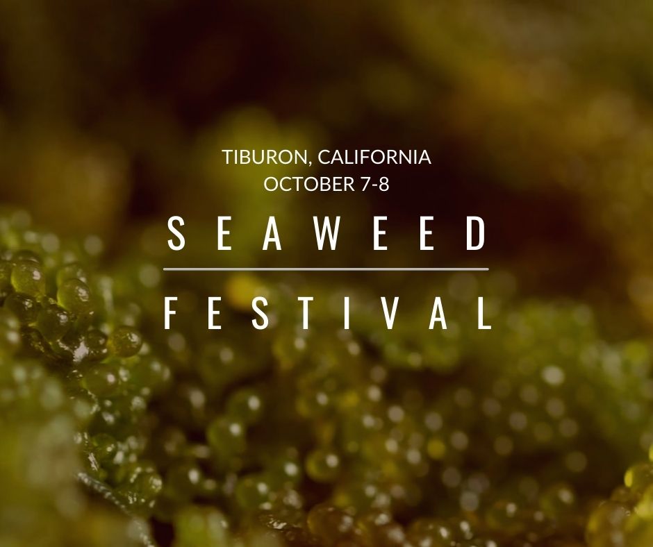 Join us this weekend at the <a href="/CASeaweedFest/">California Seaweed Festival</a> in Tiburon! We’ll be speaking on the #BlueCarbon panel Saturday at 4pm alongside Conservation International, 
<a href="/hogislandoyster/">Hog Island Oyster Co</a>, <a href="/EnvDefenseFund/">EDF</a> and <a href="/ClimateFdn/">Climate Foundation</a>. Register at bit.ly/3Vcsl7d
#seaweed #bayareaevents