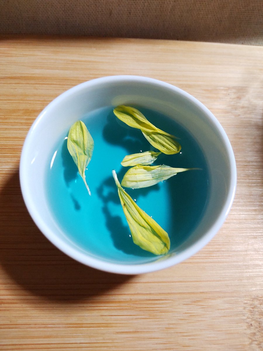 PacpiU's tweet photo. #バタフライピー #千葉県産 #マメ科 和名は #蝶豆 (ちょうまめ)。花びらの形が蝶に似ていることから。タイ🇹🇭では #アンチャン と呼ばれています。ハーブティーにしてみました。味は無く、豆の青い香り。食用菊を浮かべてアレンジ✨ https://t.co/99YKdgIBGx