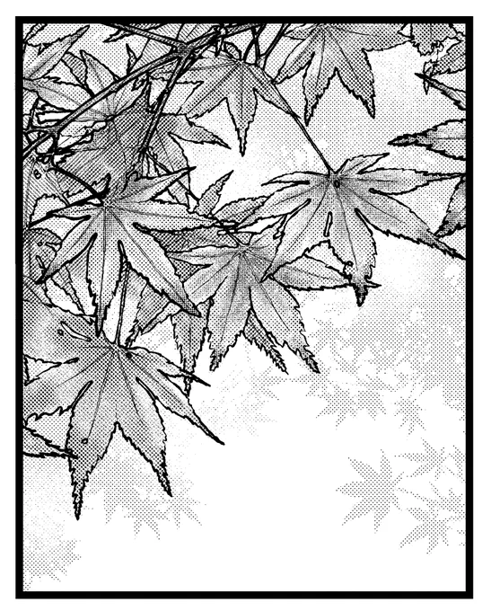 もみじ描きました。
(無料写真トレースです。) 
