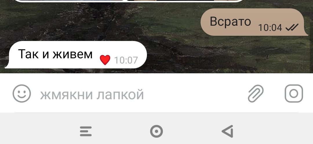 Ань, ну ты серьезно tweet media