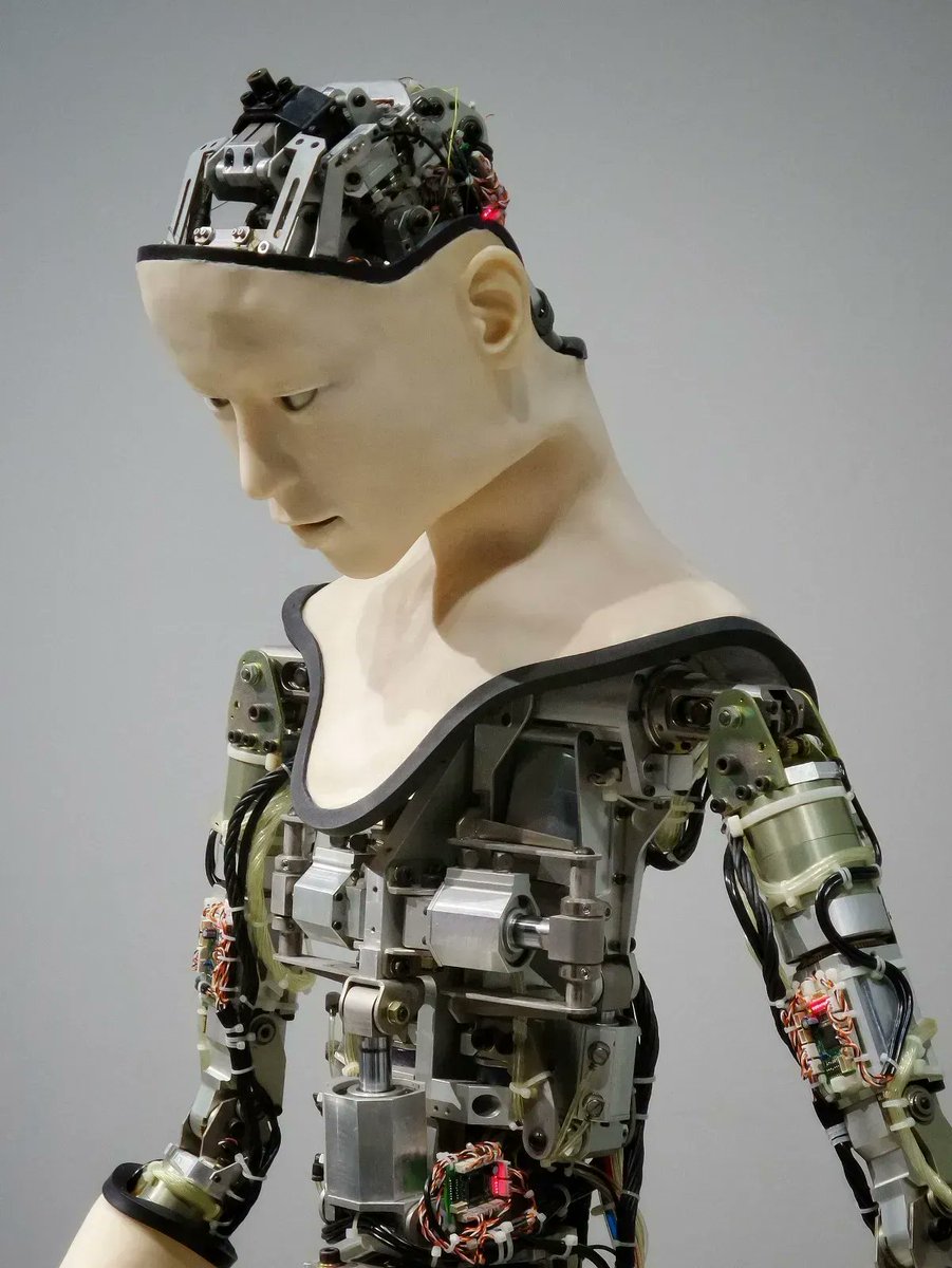 Andreas Staub (@andi_staub) on Twitter photo How Can #ArtificialIntelligence Serve Humanity?
bit.ly/3rqNQ70
#AI #Robots <a href="/MIT/">Massachusetts Institute of Technology (MIT)</a> #BehavioralEconomics #ML #DL #ethics #innovation <a href="/Fabriziobustama/">Fabrizio Bustamante</a> <a href="/mvollmer1/">Dr. Marcell Vollmer πΊπ¦ #StaySafe #CES2025</a> <a href="/SpirosMargaris/">Spiros Margaris</a> <a href="/Paula_Piccard/">Paula Piccard</a> <a href="/ipfconline1/">ipfconline</a> <a href="/jblefevre60/">Jean-Baptiste Lefevre</a> <a href="/chboursin/">Christine Boursin π</a> <a href="/YvesMulkers/">Yves Mulkers</a> <a href="/Fisher85M/">Michael Fisher</a> <a href="/KMcDTech/">Karen McDermott</a> How Can #ArtificialIntelligence Serve Humanity?
bit.ly/3rqNQ70
#AI #Robots <a href="/MIT/">Massachusetts Institute of Technology (MIT)</a> #BehavioralEconomics #ML #DL #ethics #innovation <a href="/Fabriziobustama/">Fabrizio Bustamante</a> <a href="/mvollmer1/">Dr. Marcell Vollmer πΊπ¦ #StaySafe #CES2025</a> <a href="/SpirosMargaris/">Spiros Margaris</a> <a href="/Paula_Piccard/">Paula Piccard</a> <a href="/ipfconline1/">ipfconline</a> <a href="/jblefevre60/">Jean-Baptiste Lefevre</a> <a href="/chboursin/">Christine Boursin π</a> <a href="/YvesMulkers/">Yves Mulkers</a> <a href="/Fisher85M/">Michael Fisher</a> <a href="/KMcDTech/">Karen McDermott</a>