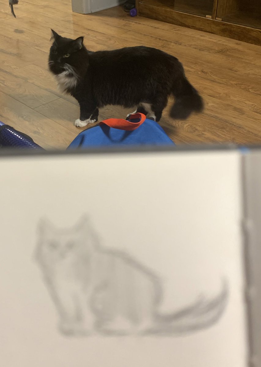 roan_does_art's tweet photo. the doodle vs the model who will only sit still for 30 fucking seconds https://t.co/adSvz9vAG7