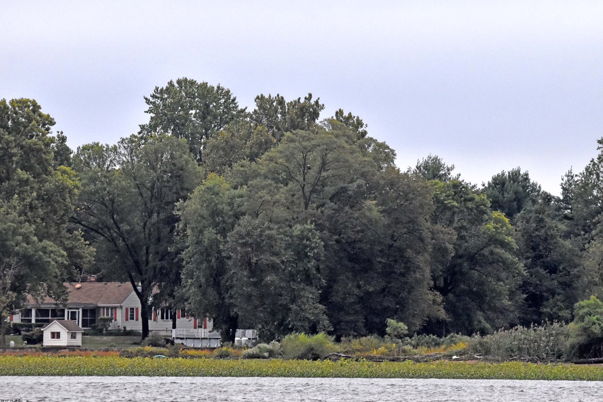MikeSlickster's tweet photo. #Lunchtime #Birding #Photography Can you spot the #BaldEagle? #DelawareRiver #Delanco #NJ https://t.co/MOuvGc7vz4