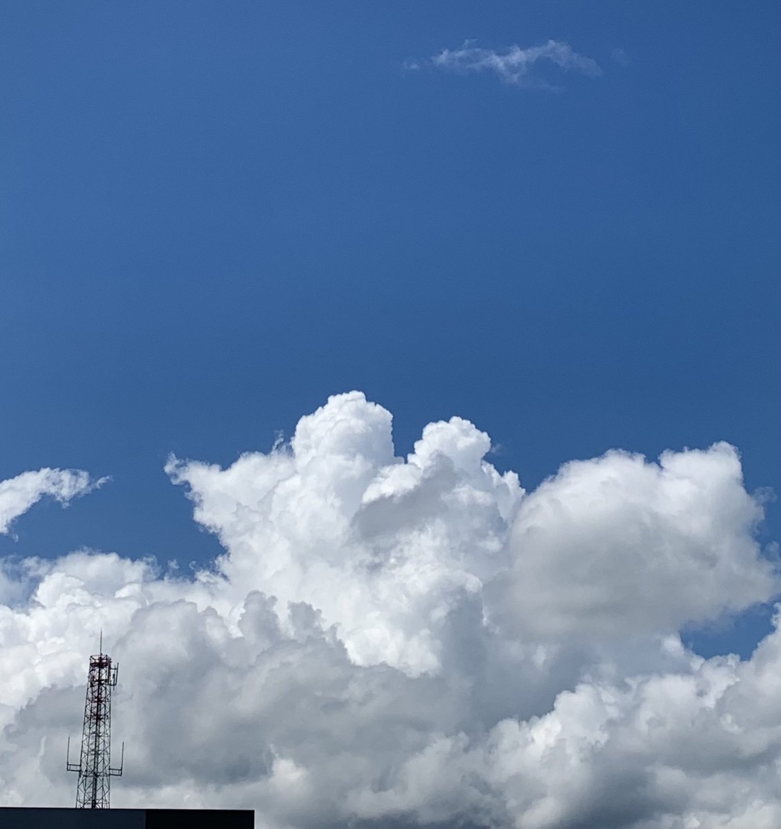 สดใสต่างกับคนถ่าย