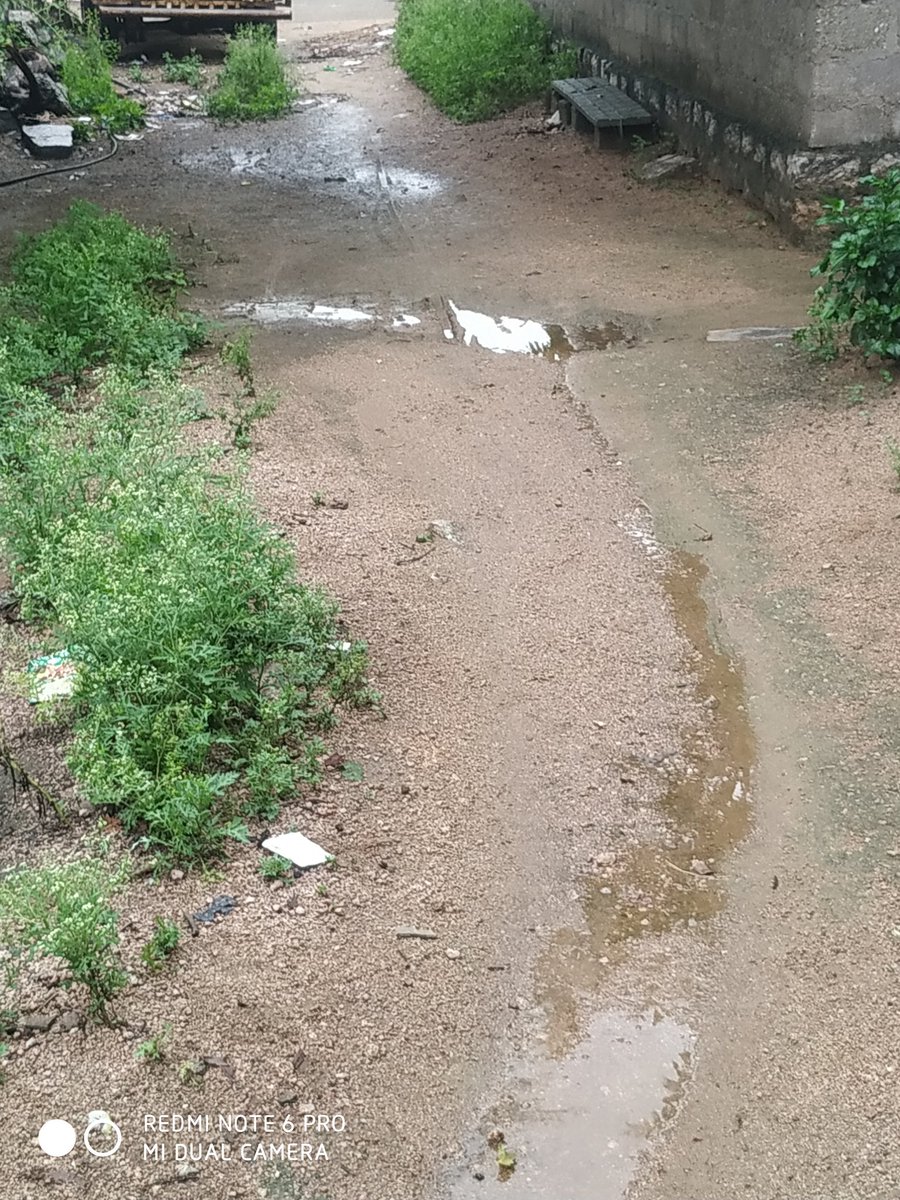_nameisnani_'s tweet photo. We are in trouble sir! 
Please respond immediately. 
Our old peoples has been afraid to walks this road.
There are full details in the bottom.Please look once. 
@BollamMallaiah 
@KTRTRS 
@jagadishTRS https://t.co/hy8QgIf6Dc
