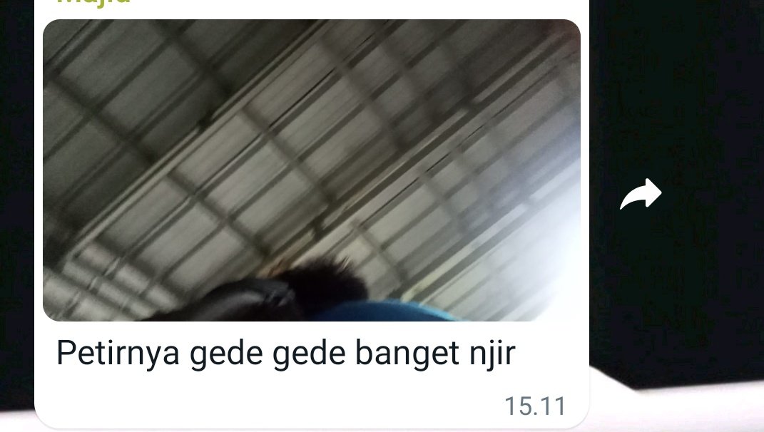 testimoni tmn² rl ku menyaksikan petir